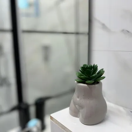 Lex * 부쿠레슈티